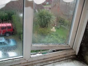 Southeast Preservation condensation treatments