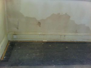 rising damp diagnosis at a property in hastings