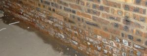 Southeast Preservation rising damp banner image